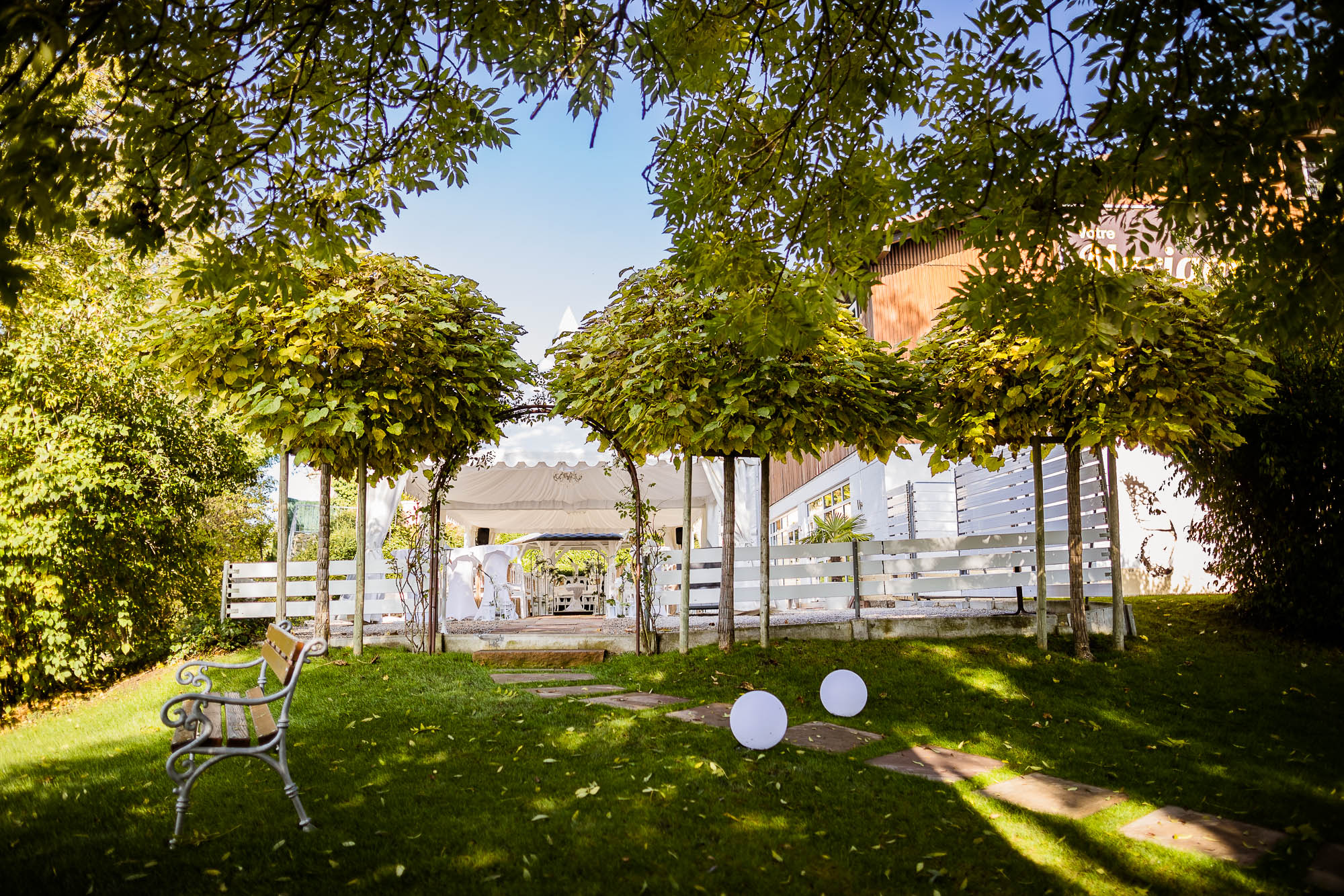 Export x3 1DX26730 Hochzeit 2019 Tatjana und Hermann